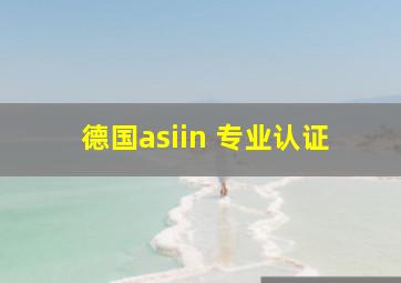 德国asiin 专业认证